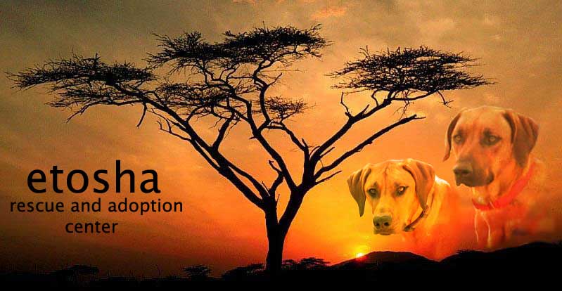 Etosha Rescue and
          Adoption Center